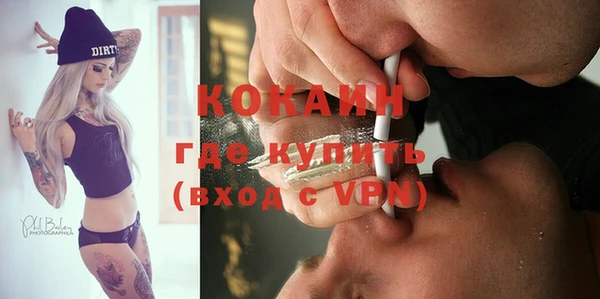 МДПВ Алзамай