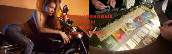 дживик Алексеевка