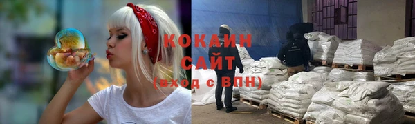 МДПВ Алзамай