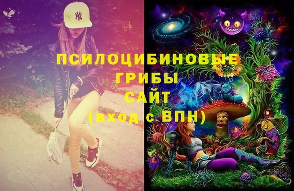 МДПВ Алзамай