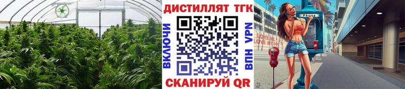 Дистиллят ТГК концентрат  дарнет шоп  Кулебаки 