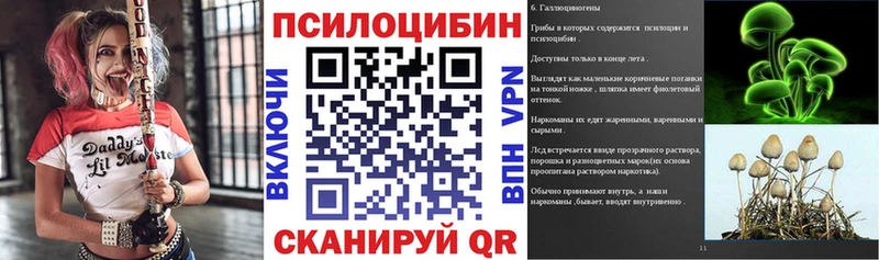 дарнет шоп  Кулебаки  Галлюциногенные грибы Cubensis 