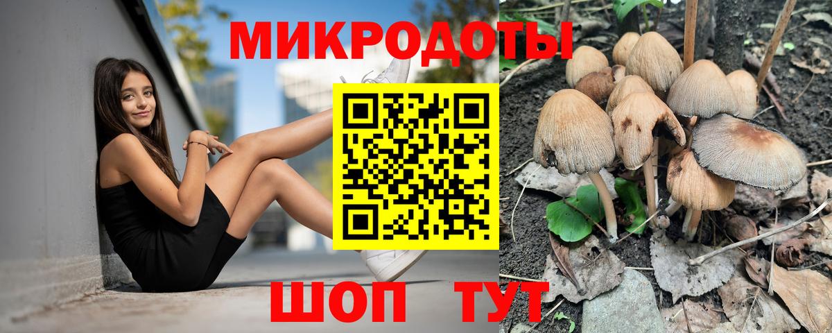 Псилоцибиновые грибы ЛСД  Вход с VPN  Кулебаки 
